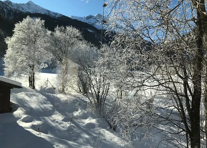 公寓 Bergchalet Ullmannwies 巴德加斯坦